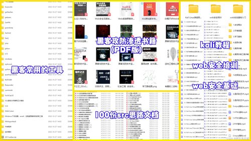 紅隊攻防網(wǎng)絡(luò)安全自學路線 從計算機軟硬件基礎(chǔ)入門到專業(yè)實戰(zhàn)