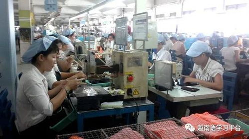 越南鞋業(yè)寒冬 老牌企業(yè)裁員近3000人，折射社會經(jīng)濟深層挑戰(zhàn)