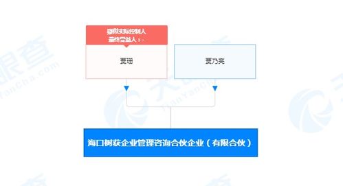 解碼社會(huì)經(jīng)濟(jì)咨詢(xún)服務(wù)的價(jià)值與挑戰(zhàn)